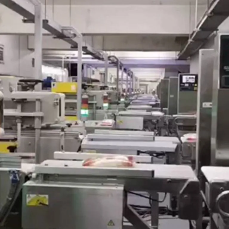 Food processing line installed at a customer plant